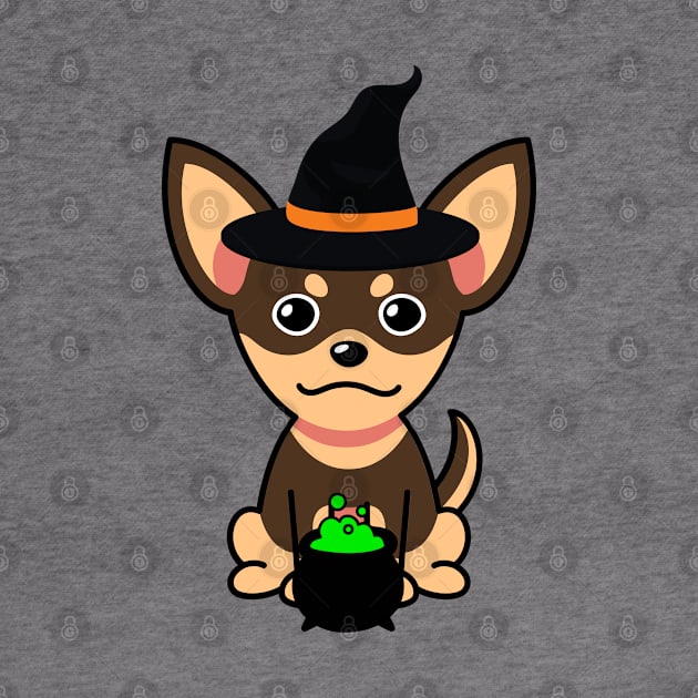 Cute small dog is a witch by Pet Station